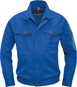 ロイヤルブルー(42)