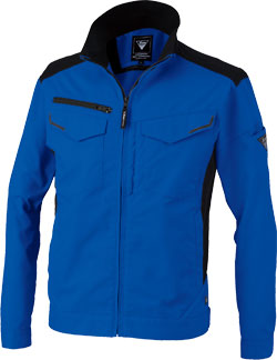 ロイヤルブルー(46)