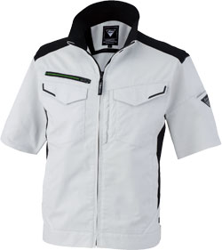 シルバーグレー(22)