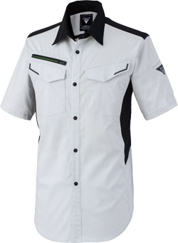 シルバーグレー(22)