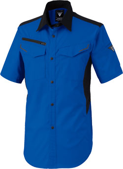 ロイヤルブルー(46)