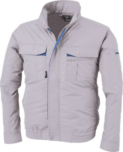 シルバーグレー(22)