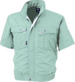 モスグリーン(61)