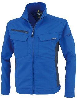 ロイヤルブルー(46)