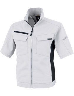 シルバーグレー(22)