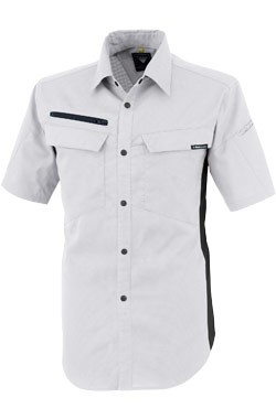 シルバーグレー(22)