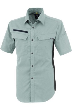 ミストグリーン(605)