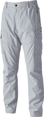 シルバーグレー(25)