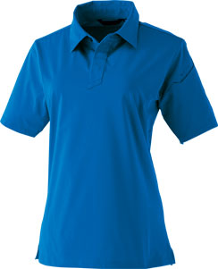 ロイヤルブルー(41)