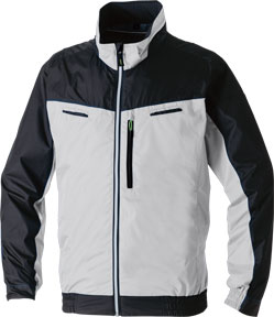 シルバーグレー(22)