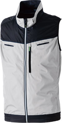 シルバーグレー(22)