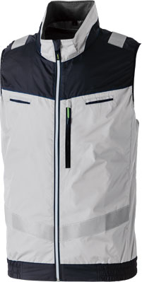 シルバーグレー(22)