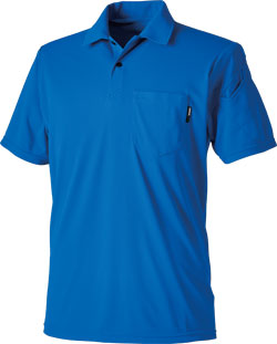 ロイヤルブルー(41)