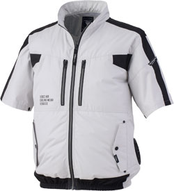 シルバーグレー(22)