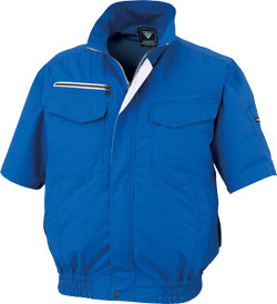 ロイヤルブルー(46)