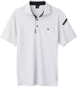 シルバーグレー(22)