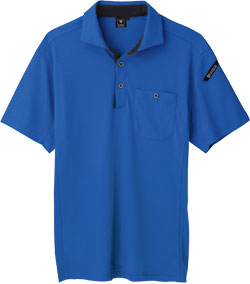 ロイヤルブルー(46)