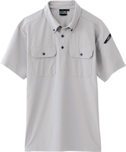 シルバーグレー(22)