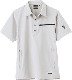 シルバーグレー(22)