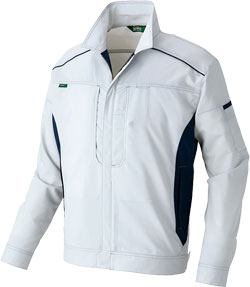 シルバーグレー(003)