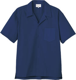 トワイライトブルー(C36)