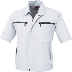 シルバーグレー(22)