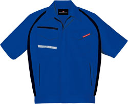 ロイヤルブルー(080)