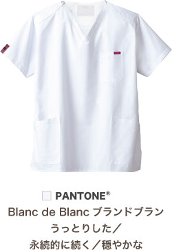 ホワイト(1)