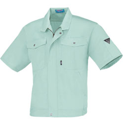 ライトグリーン(68)