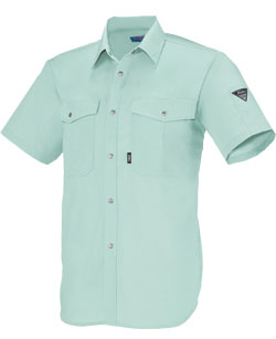 ライトグリーン(68)