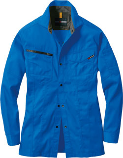 サーフブルー(47)