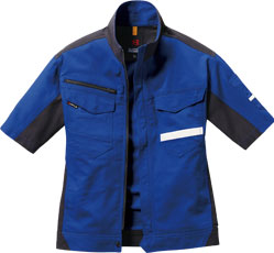 ロイヤルブルー(42)