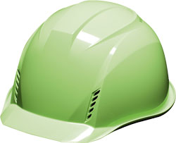 フレッシュグリーン(FG)