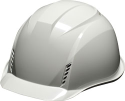 ライトグレー(RG)