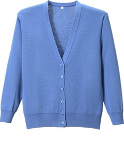 サックスブルー(170)