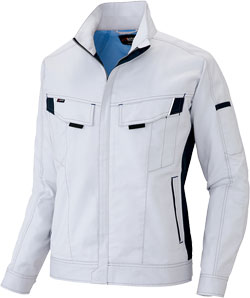 シルバーグレー(003)