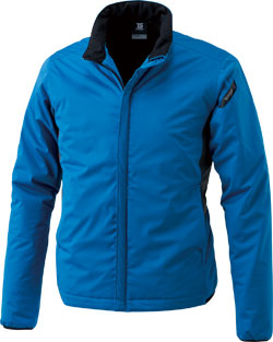 ロイヤルブルー(41)