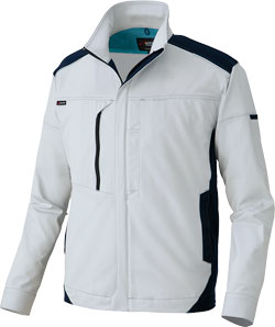 シルバーグレー(003)