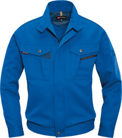 ロイヤルブルー(42)