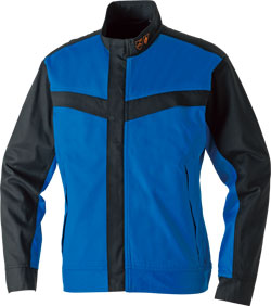 ロイヤルブルー(203)