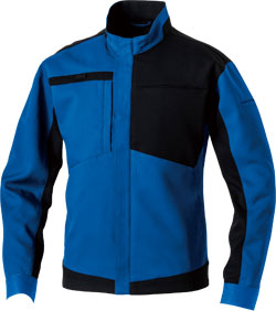 ロイヤルブルー(203)