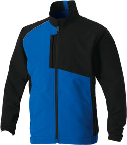 ロイヤルブルー(203)