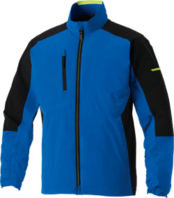 ロイヤルブルー(203)