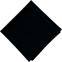 ブラック(9)