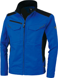 ロイヤルブルー(46)