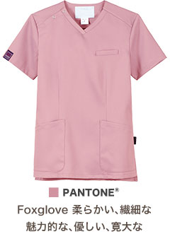 フォックスグローフ(13)