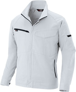 シルバーグレー(003)