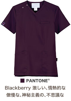 ブラックベリーワイン(16)