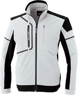 シルバーグレー(22)