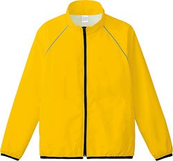 ゴールドイエロー(077)